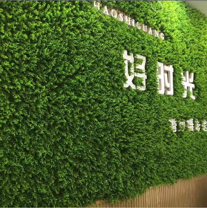 植物墙景观|植物墙绿植|植物墙装饰