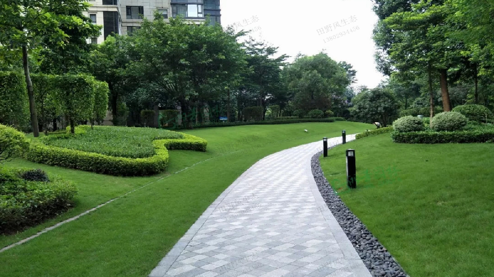 西安小区绿化养护公司|碧盛园艺