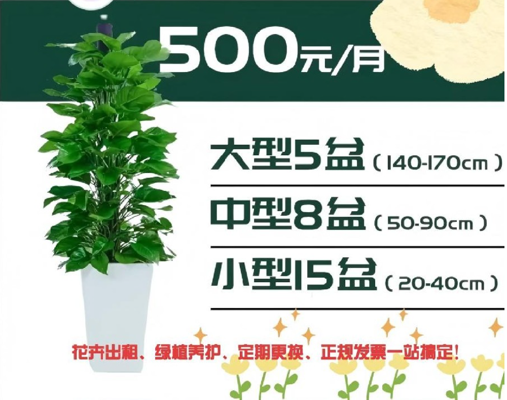 西安300平方米办公室绿植租赁套餐